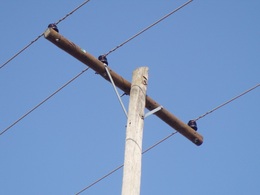 P1010494