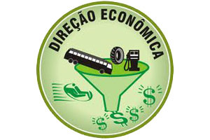 Palestra_dire%c3%a7%c3%a3o